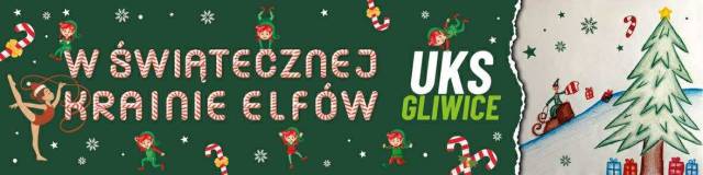 W świątecznej krainie Elfów 