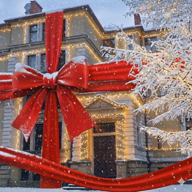 Willa Caro prezentuje się na drugi dzień Świąt Bożego Narodzenia!