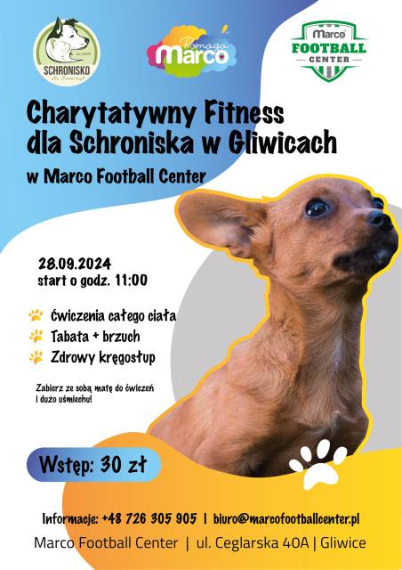 Charytatywny Fitness dla Schroniska w Gliwicach